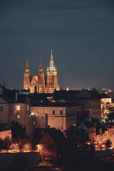 출처: gettyimagesbank