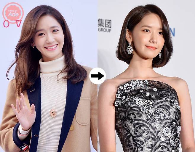 출처: 뉴스에이드 DB