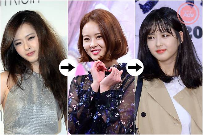 출처: 뉴스에이드 DB