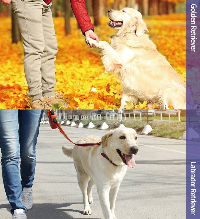 출처: Fotolia