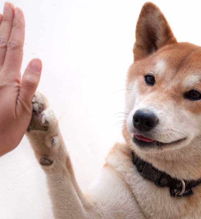 출처: 김국헌 기자 papercut@inbnet.co.kr