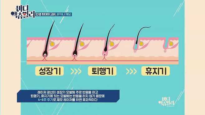 바디 액츄얼리]'비키니제모', '브라질리언왁싱' 하기 전에 꼭! 알아야 하는 것 | 스튜디오 온스타일