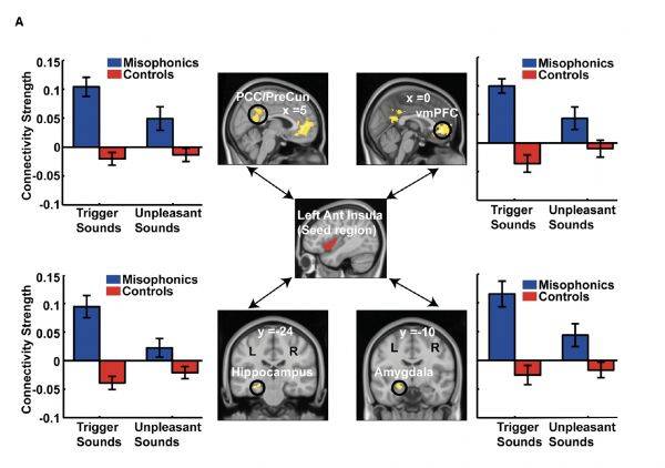 출처: Current Biology