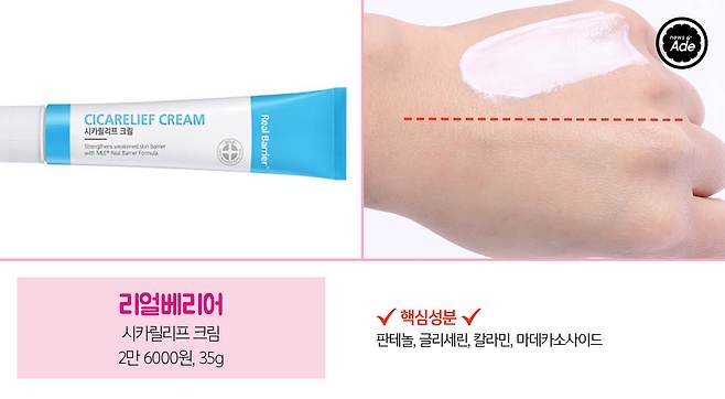 출처: 사진=최지연, 그래픽=계우주 기자