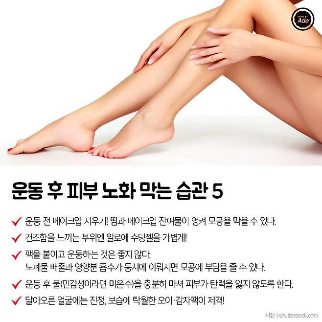 출처: 그래픽=계우주 기자