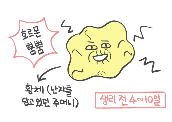 여자 10명 중 8명이 겪는 문제, 혹시 내 여자친구도? | 연애의 과학