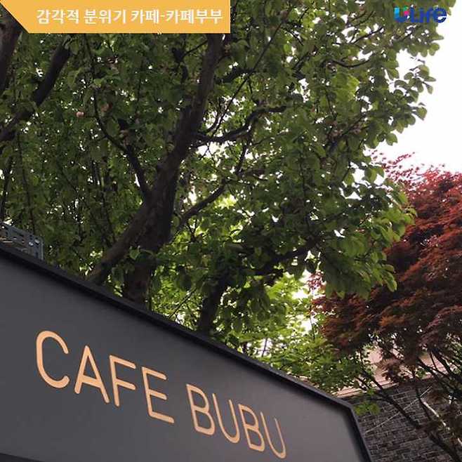 출처: 카페부부 인스타그램
