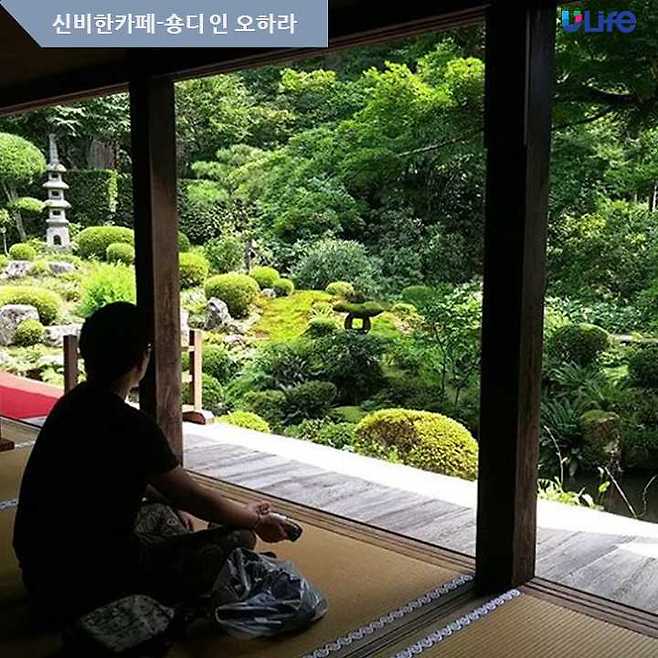 출처: 숑디 인 오하라 인스타그램