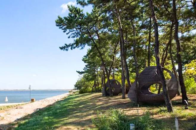 출처: ⓒ네스트 호텔 공식 홈페이지