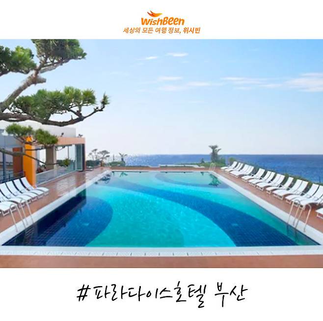 출처: ⓒ파라다이스호텔 공식 홈페이지