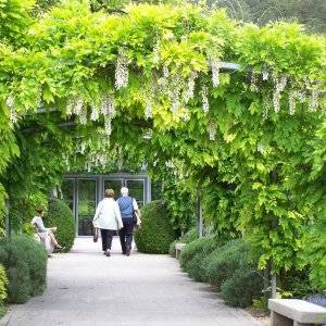 출처: 프랑스 지베르니에 위치한 인상주의 미술관 | giverny.org