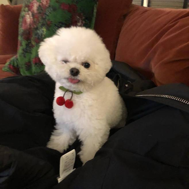 출처: 휴지 인스타그램