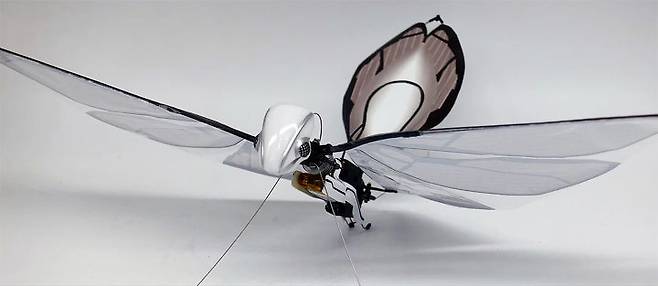 출처: MetaFly - Kickstarter