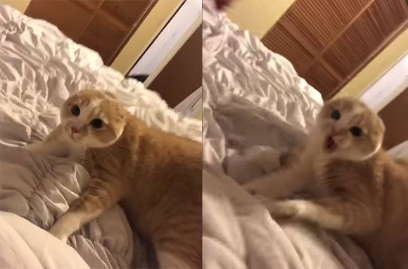 출처: YouTube @Ashley Campbell