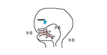 출처: 커뮤니티