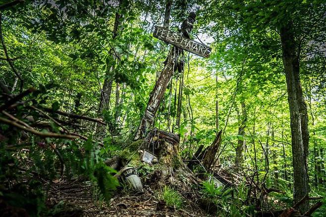 출처: 사진 롯데엔터테인먼트