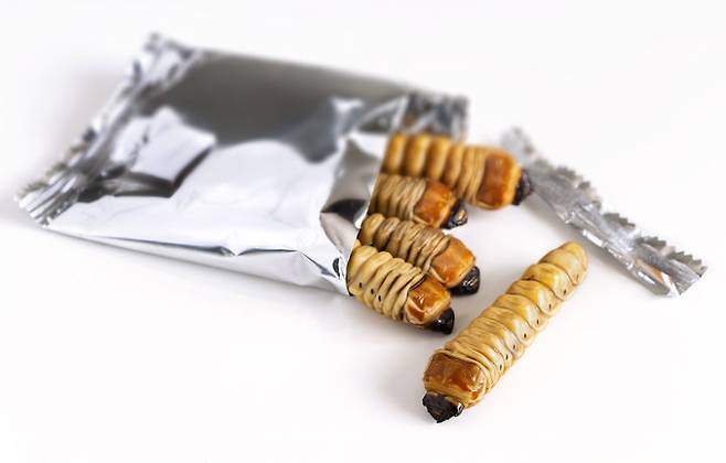 출처: gettyimagesbank