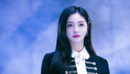 출처: 플레디스