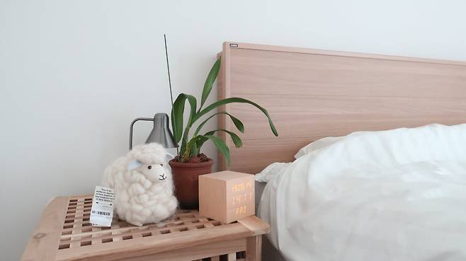 출처: 오늘의집 제품정보 모아보기(▲이미지클릭)