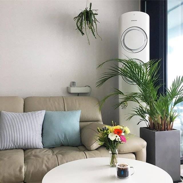 출처: 오늘의집 제품정보 모아보기(▲이미지클릭)