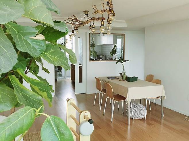 출처: <테이블보><의자> 등 제품정보 모아보기(▲이미지클릭)