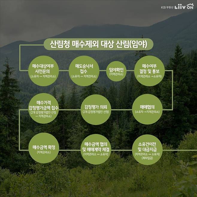 재산권 행사가 제한된 임야, '사유림 매수청구 제도' 활용! | Kb부동산