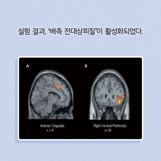 출처: 책식주의