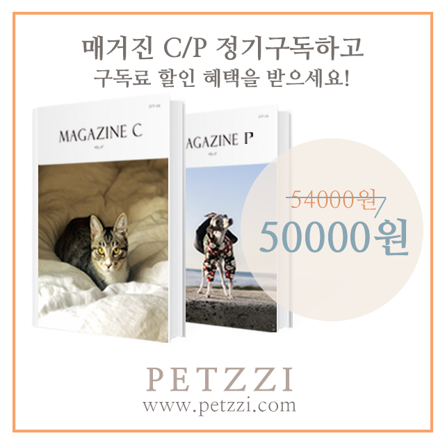 출처: http://www.petzzi.com/page/mag_script.html