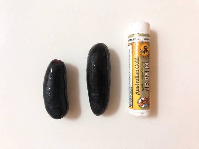 출처: 리얼푸드