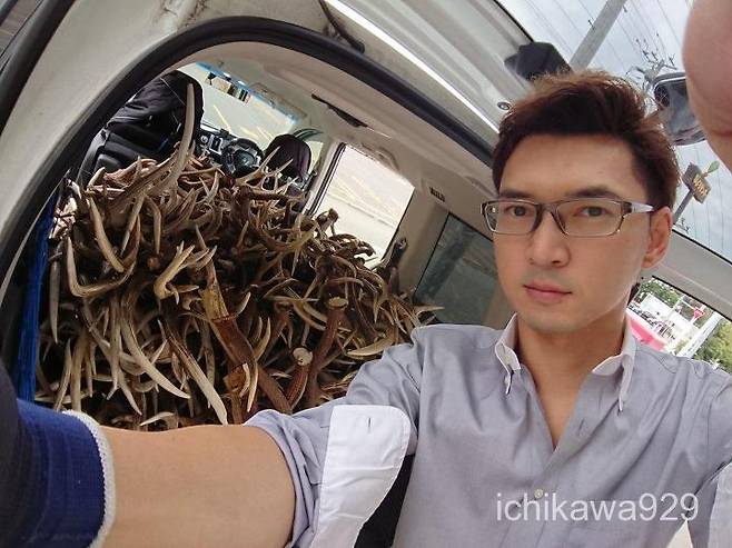 출처: 이치카와클리닝