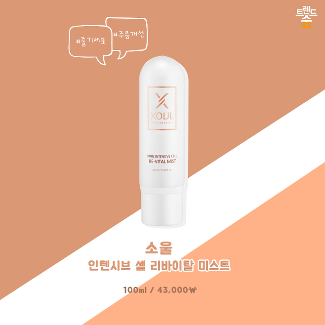 출처: 소울 공식홈페이지