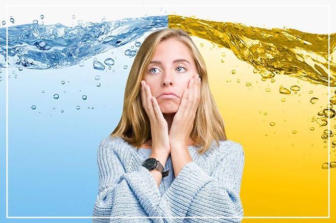 출처: Shutterstock