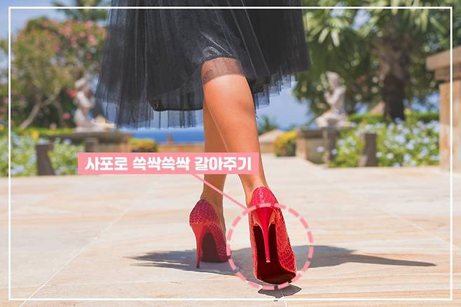 출처: Shutterstock