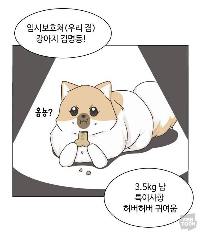 출처: 웹툰 '개를 낳았다'