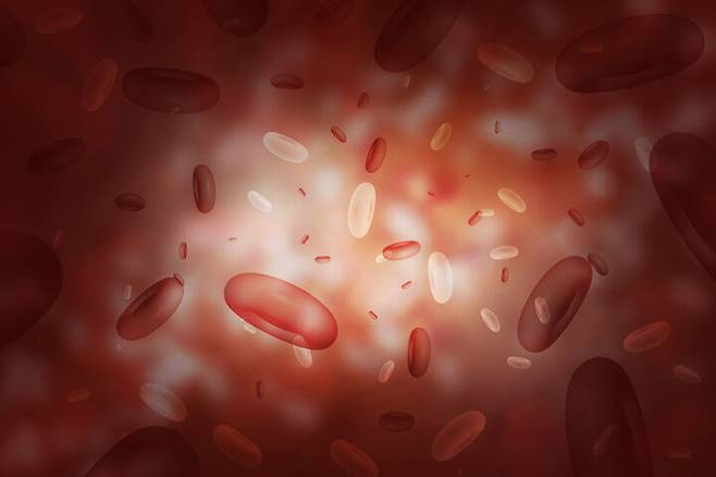 출처: 게티이미지코리아