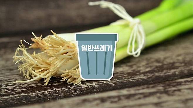 절반이 음식물 쓰레기로 착각하는 '이것' | 두유노우