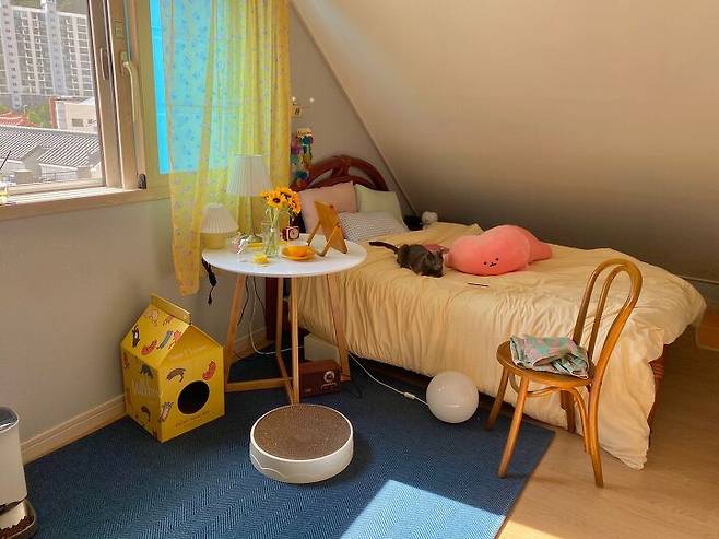 출처: 집꾸미기에서 <고양이 공간> 아이템 정보 알아보기 (▲이미지 클릭!)