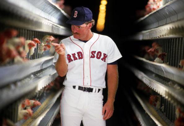 출처: 게티이미지