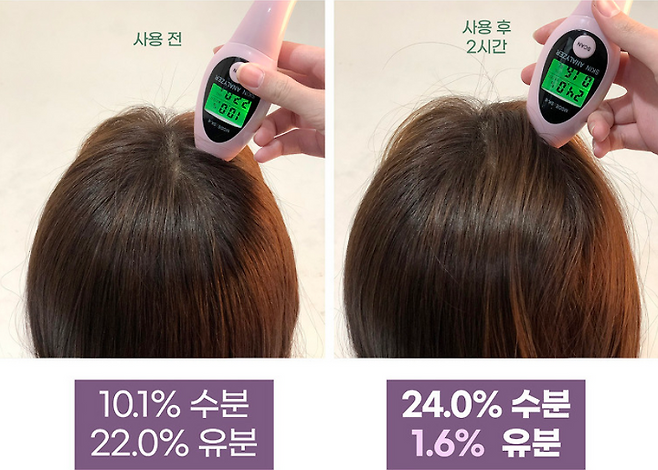 출처: 아렌시아 제공