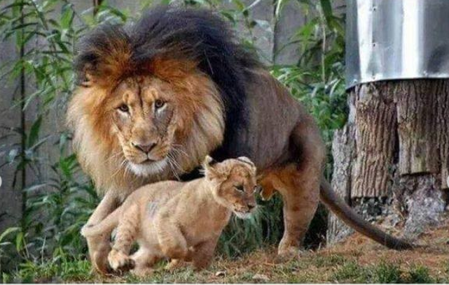 출처: https://www.instagram.com/p/CLy3yfxAoV0/?utm_source=ig_web_copy_link