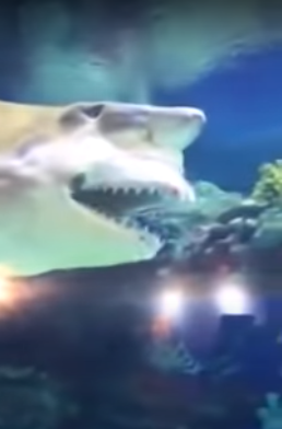 출처: https://www.youtube.com/watch?time_continue=9&v=ipdwrhHFRIY&feature=emb_title