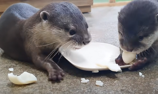 출처: https://www.youtube.com/watch?v=kkjD6cDNWZc