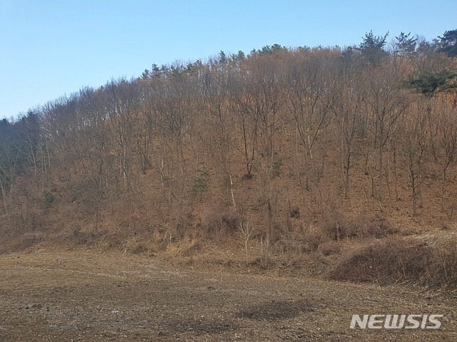 [세종=뉴시스]세종시 국가 스마트산업단지 인근에 766명이 소유주로 등기된 야산 모습. 2021. 03.11. ssong1007@newsis.com