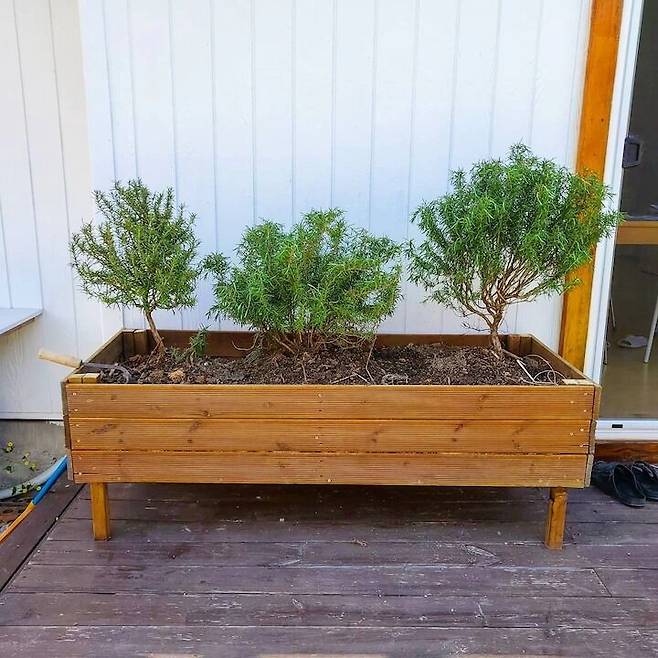 출처: 온라인 집들이 보러 가기 (▲이미지 클릭)