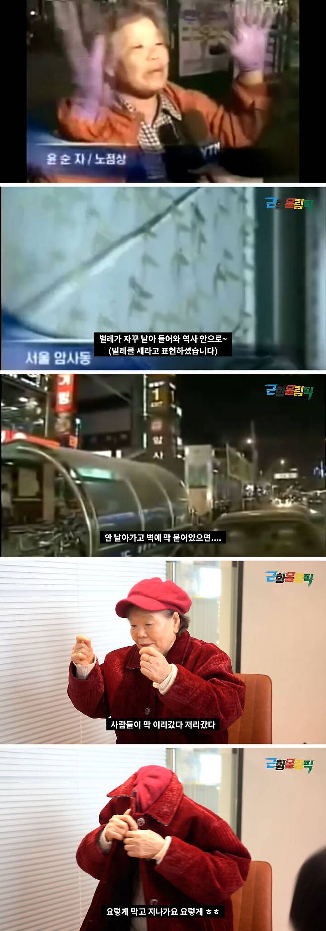 출처: 근황올림픽 youtube / YTN