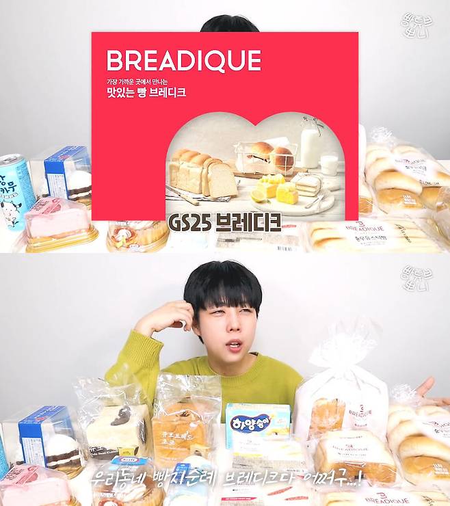 출처: 뽀니 BreadTube 유튜브 채널