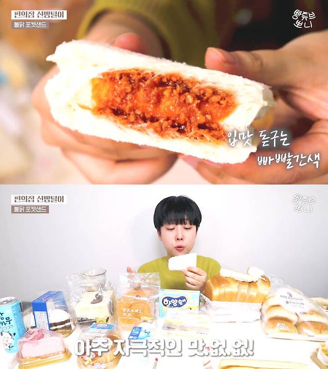 출처: 뽀니 BreadTube 유튜브 채널