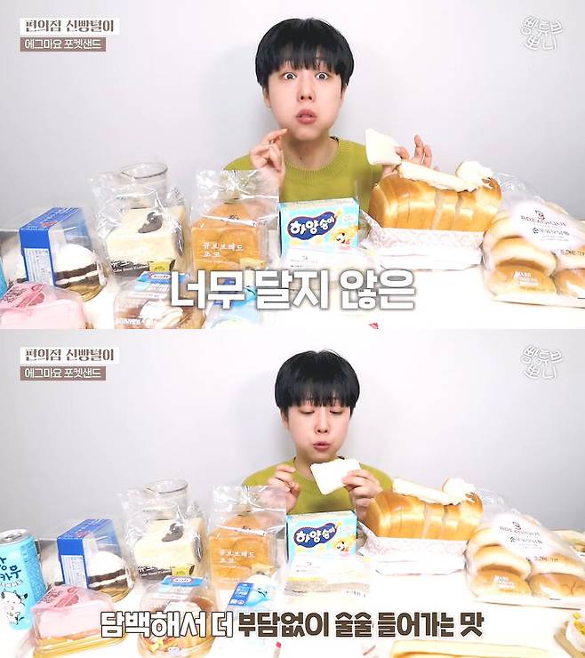 출처: 뽀니 BreadTube 유튜브 채널