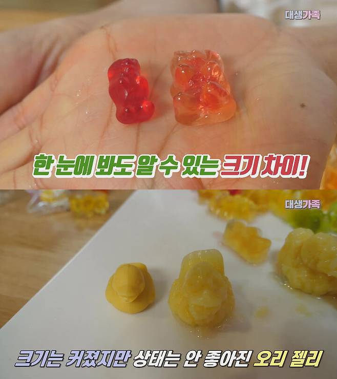 출처: 공대생 가족 유튜브 채널