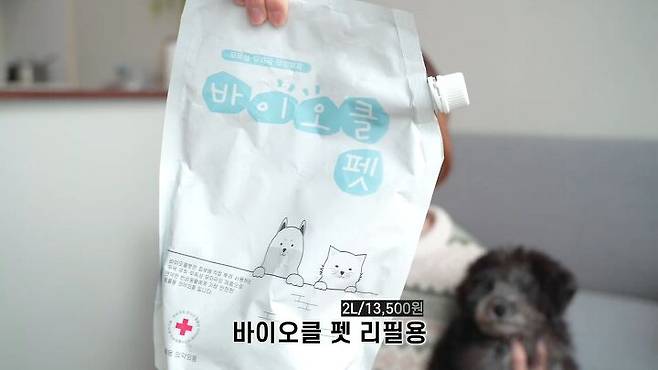 출처: 공실이 유튜브 채널
